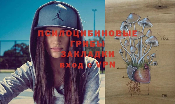 мдпв Верхний Тагил